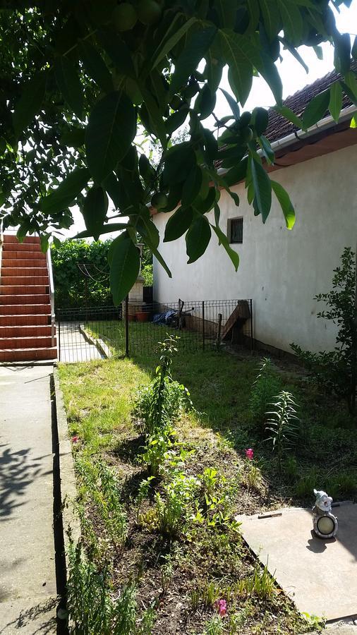 Apartamento Casa Carla-Maria Deva Exterior foto